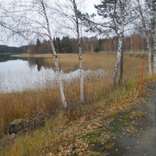 Схема вышивки «Суоми»