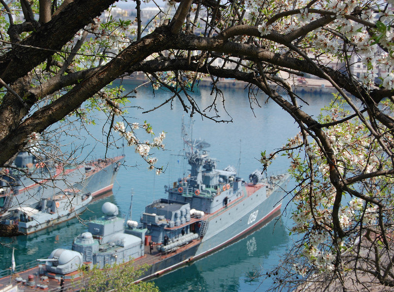 Севастополь - корабль бухта дерево - оригинал