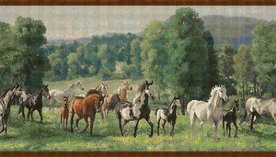 лошади - животные - предпросмотр