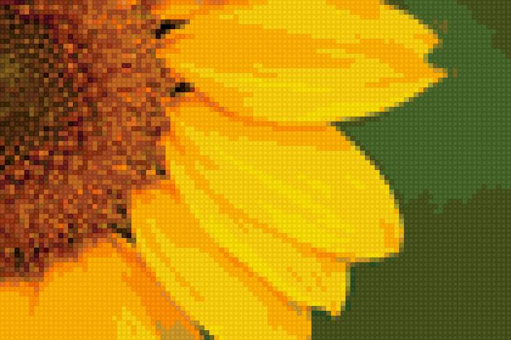 цветок-солнце - предпросмотр