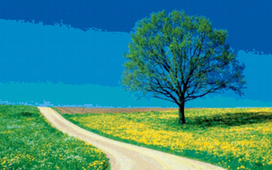 Тропа - природа - предпросмотр