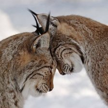 Схема вышивки «Любовь»