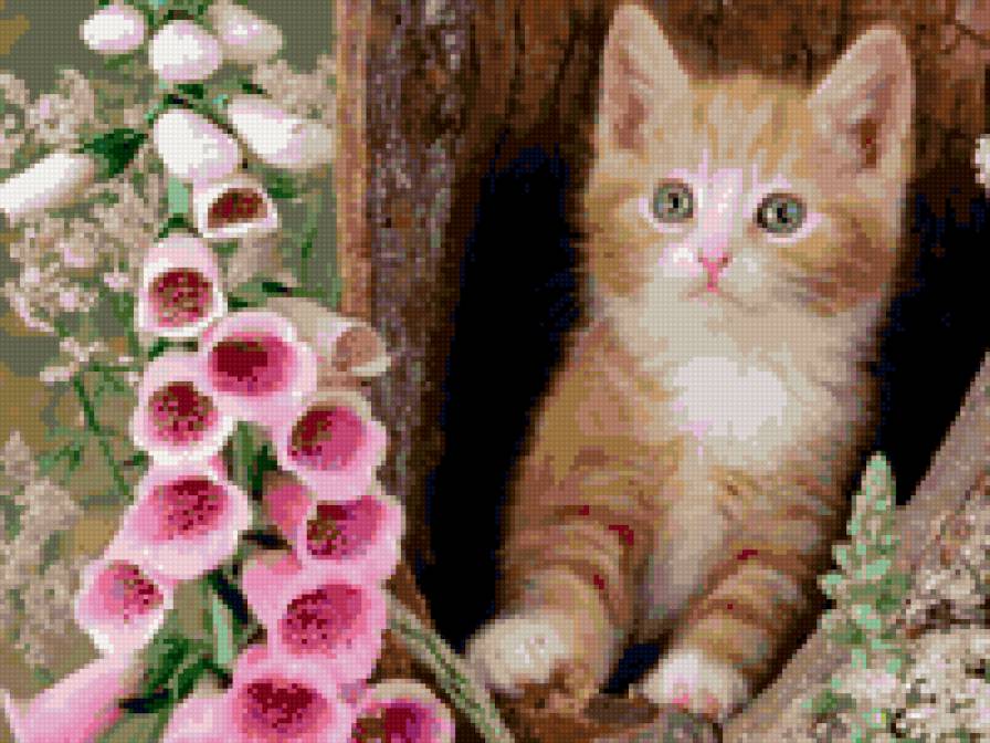 Котенок в дупле - котенок, животные - предпросмотр