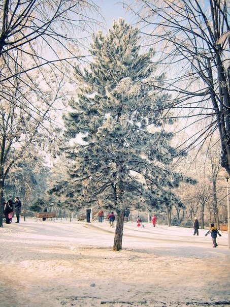 №132086 - оригинал