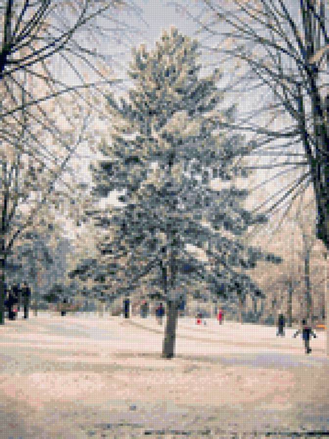 №132086 - предпросмотр