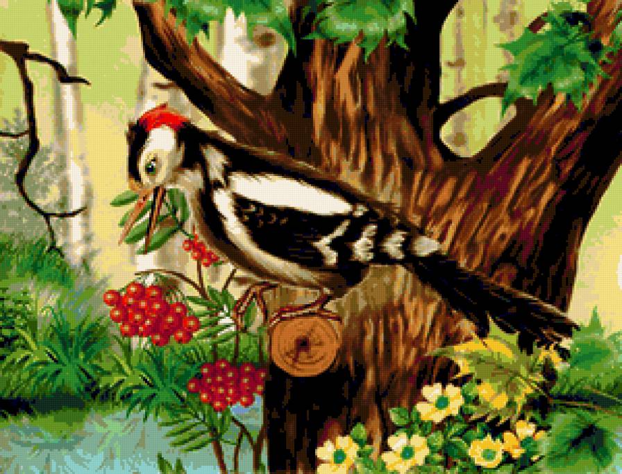 Дятел - иллюстрации, птица, дятел, рябина, красота, осень, птицы, лес - предпросмотр