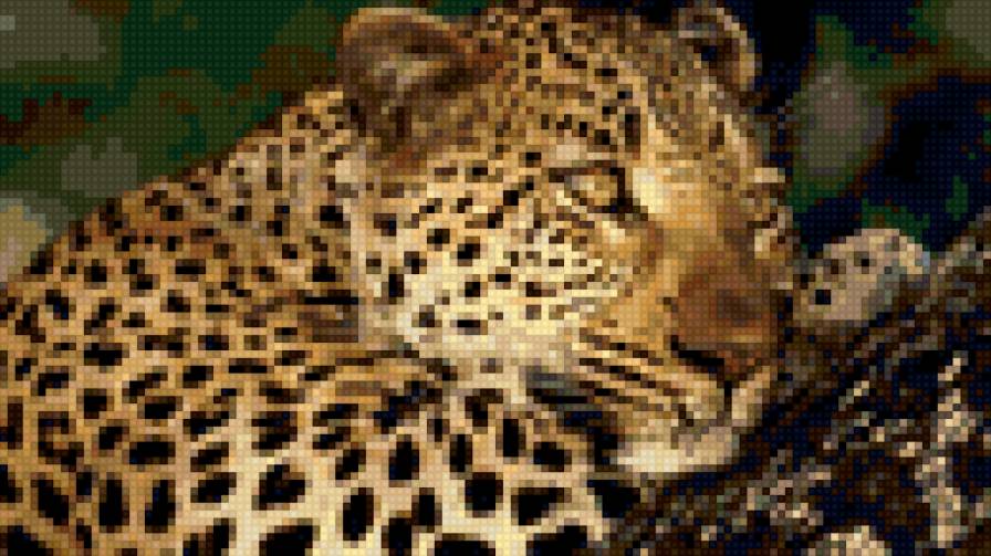 Леопард 2 - природа, животные, леопард - предпросмотр