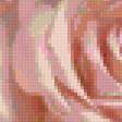 Предпросмотр схемы вышивки «Розовые лепестки» (№132472)