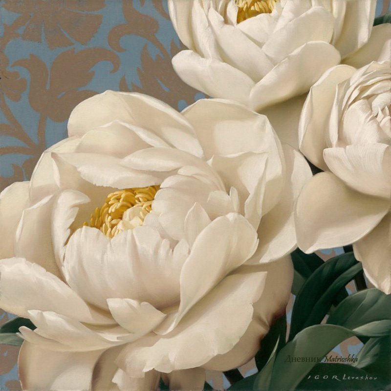 Белые пионы - цветы, пион, флора, белые пионы, пионы, весенние цветы - оригинал