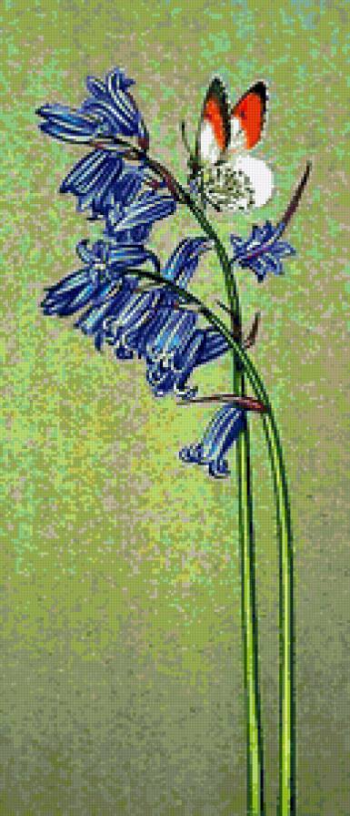 №132507 - предпросмотр