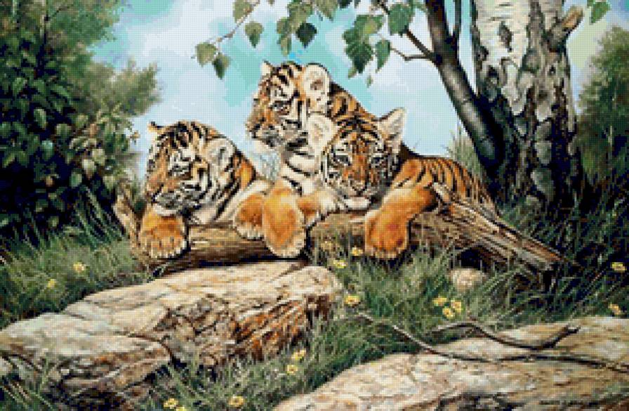 №132528 - предпросмотр