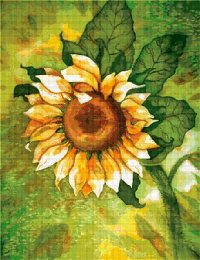 подсолнух - предпросмотр