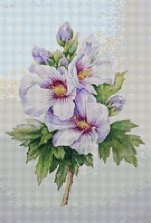 №132716 - предпросмотр