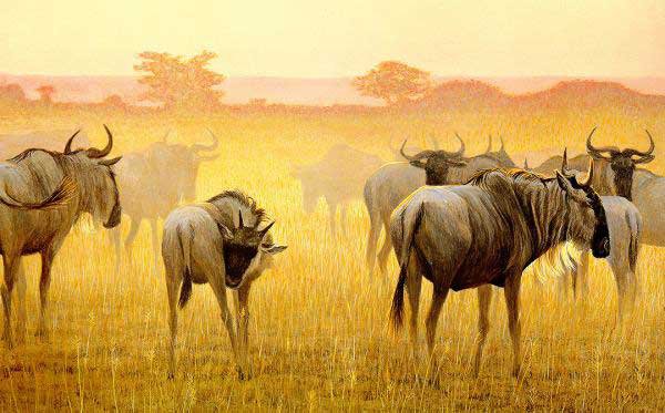 серия Африка - животные, гну - оригинал