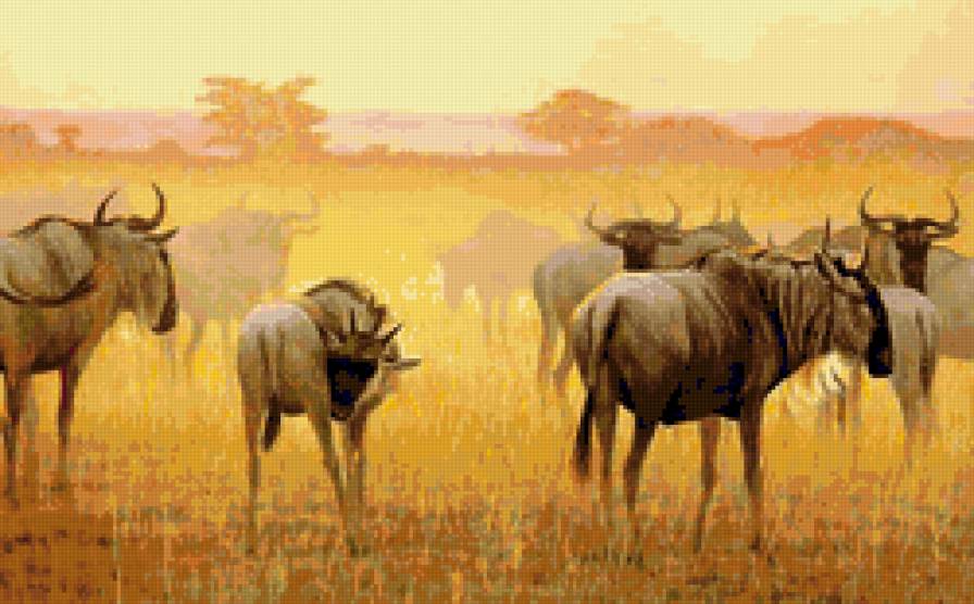 серия Африка - животные, гну - предпросмотр