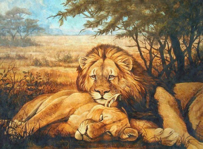 серия Африка - львы, животные - оригинал