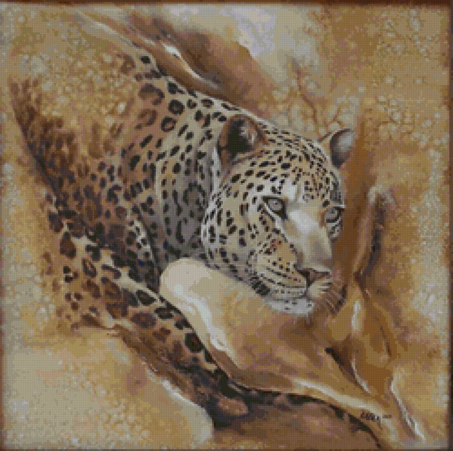 серия Африка - гепард, животные - предпросмотр