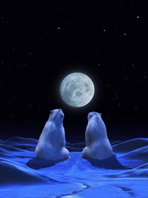 пара полярных медведей - зима, пара, луна, медведи - оригинал