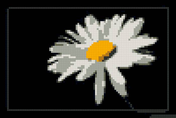 ромашка - предпросмотр