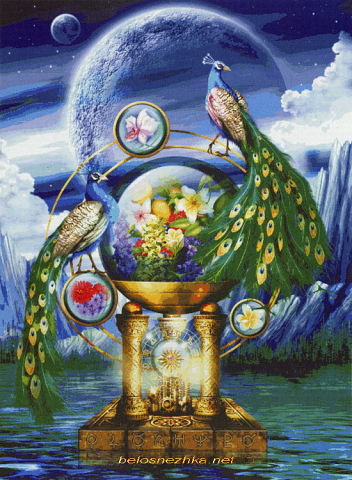 павлины - птицы, павлины - оригинал