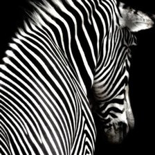 Схема вышивки «лошадка»