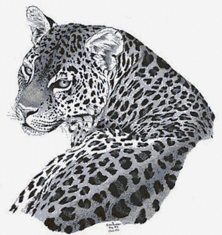 №133609 - предпросмотр