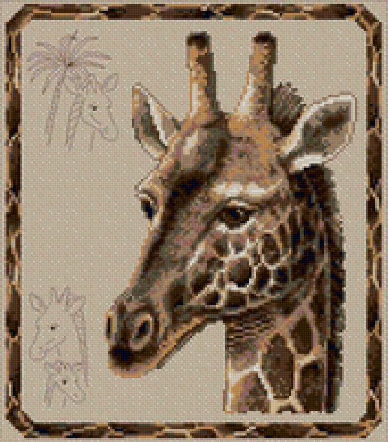 Жираф - предпросмотр