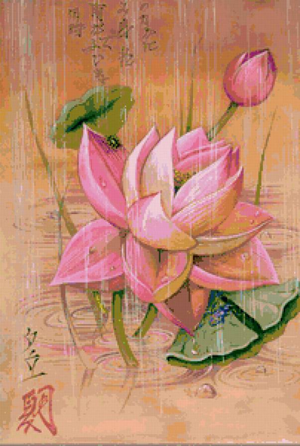 лотос под дождем - цветы, природа, восток, цветок - предпросмотр