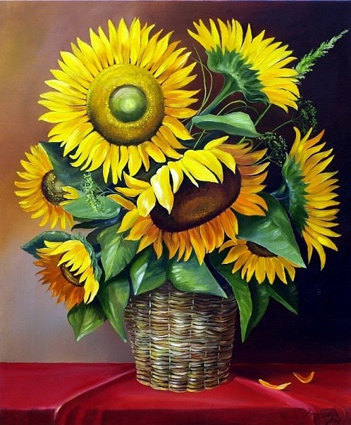 подсолнух - подсолнухи - оригинал