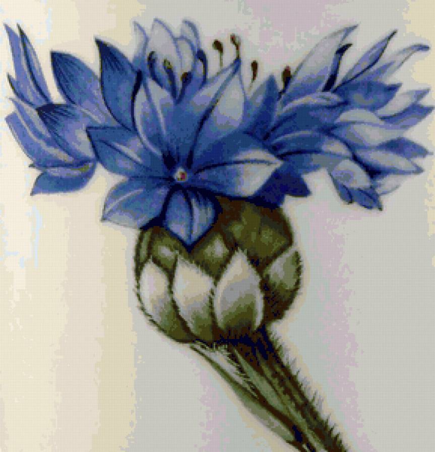 Подушка "Василёк" - цветы, василек, полевые цветы, васильки, подушка, подушки - предпросмотр