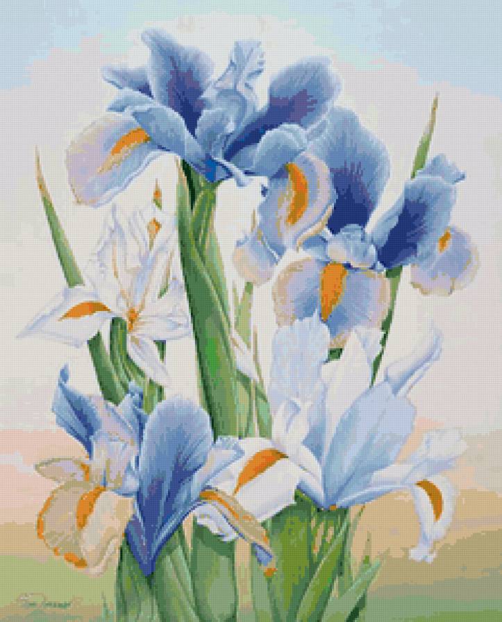 Ирисы - цветы, ирисы, ирис, нежные лепестки, весенние цветы - предпросмотр