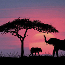 Закат в Африке