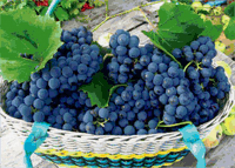 Грозди винограда - натюрморт, картина - предпросмотр