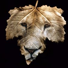 Схема вышивки «Лев на листочке»