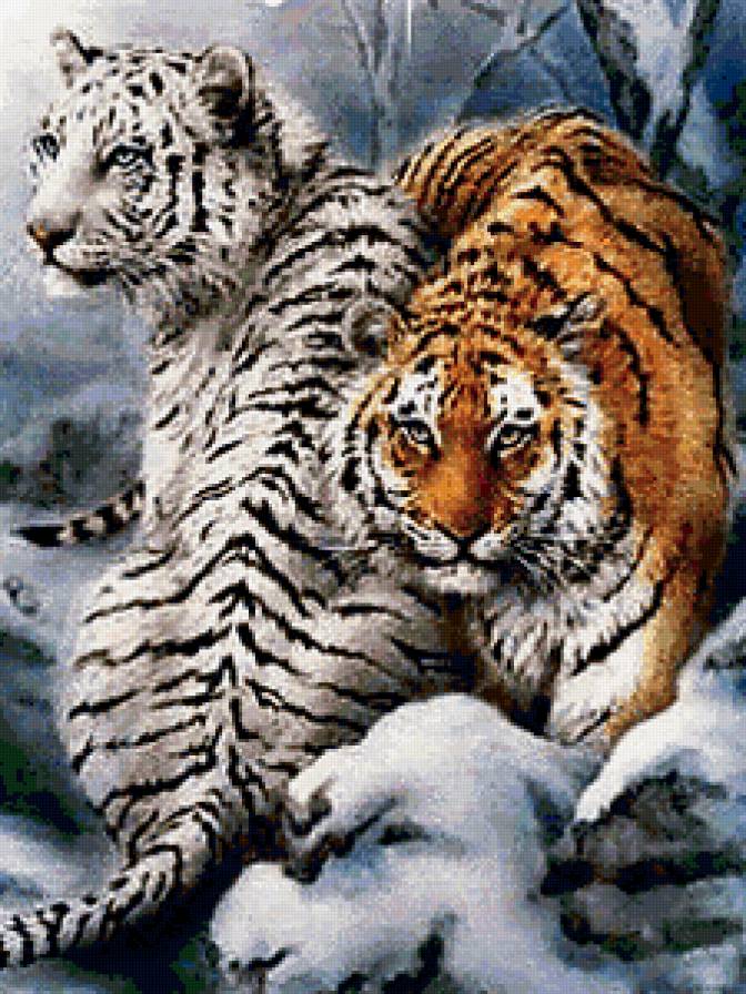 №134281 - предпросмотр