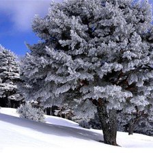 Схема вышивки «зима»