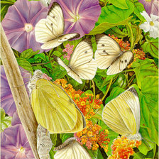 Оригинал схемы вышивки «бабочки» (№134445)