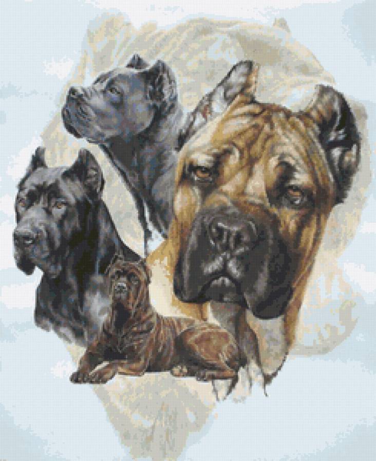 Серия "Породы собак. Кане корсо" - животные, собаки - предпросмотр