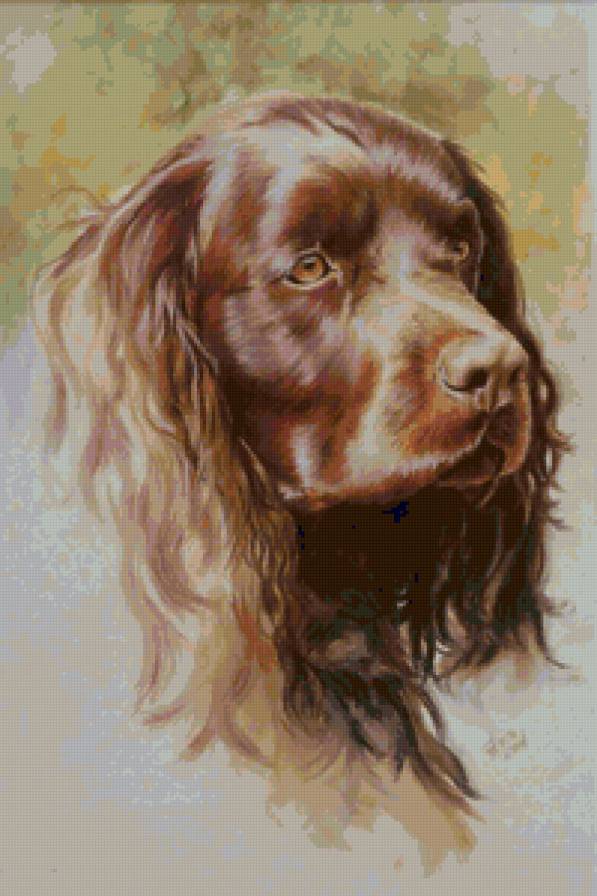 Серия "Породы собак. Сеттер" - животные, собаки - предпросмотр