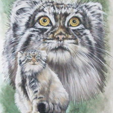 Схема вышивки «Серия "Большие кошки. Манул"»