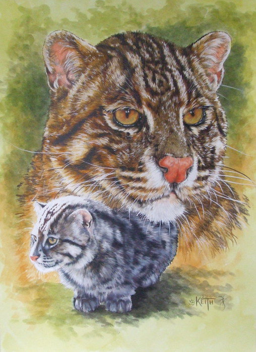 Серия "Большие кошки" - животные, кошки, виверра - оригинал