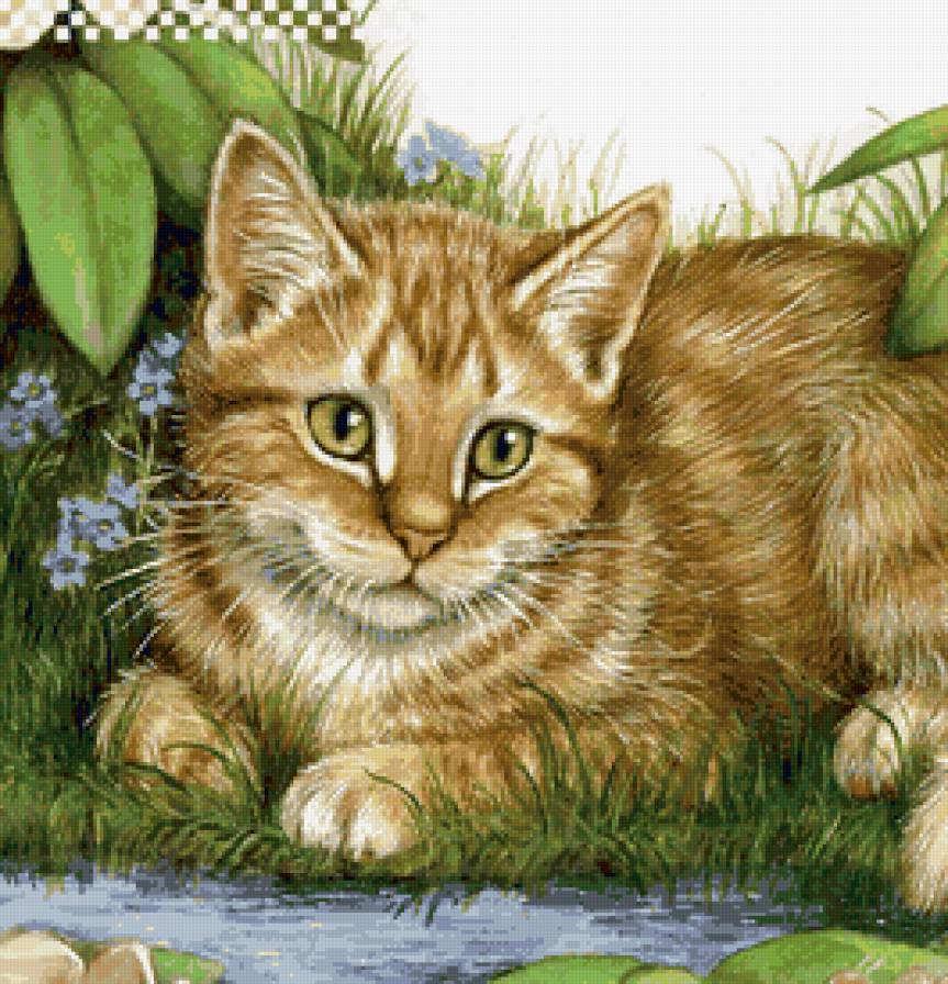 котик - кошка, кошки, кот, животные, цветы, коты - предпросмотр