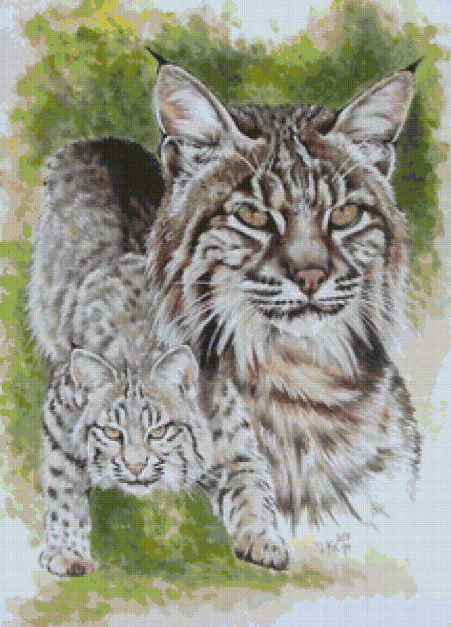 Серия "Большие кошки" - рыси, животные, кошки - предпросмотр