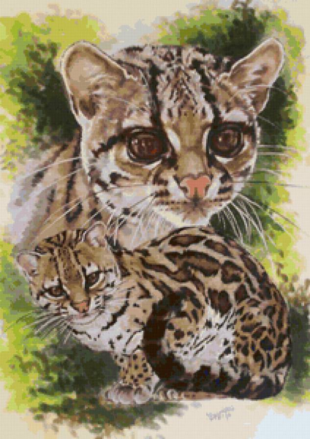 Серия "Большие кошки" - животные, виверры, кошки - предпросмотр