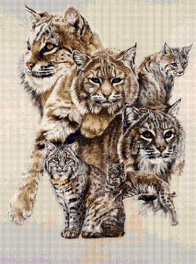 Серия "Большие кошки" - рыси, животные, кошки - предпросмотр