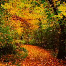 Схема вышивки «Серия "Осень" Дорога в лесу»