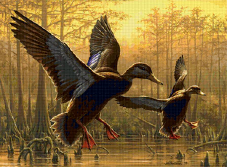 №135038 - предпросмотр