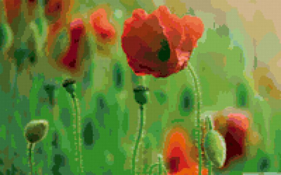 poppy - предпросмотр