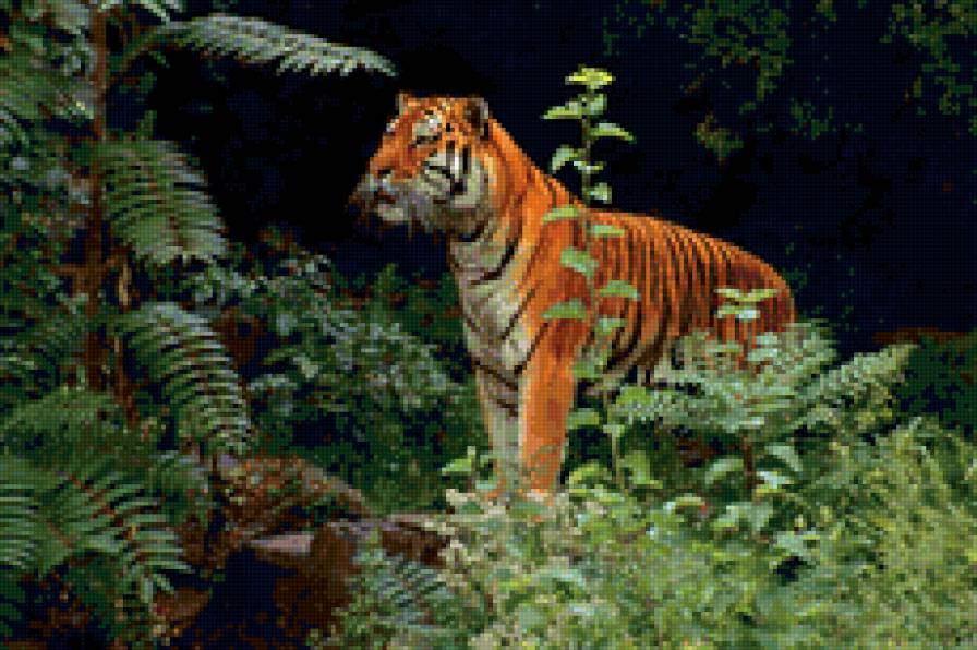 Тигр в зелени - лес, животные, тигр, природа - предпросмотр