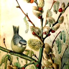 Схема вышивки «птица на вербе»